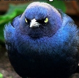 Новогодний обмен подарками (Украина)!!!