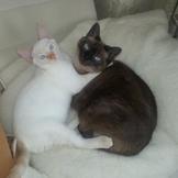 АПРЕЛЬские экошечки! Поддержите друг друга!