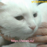 Аватар