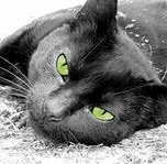 Главный пост Мамулечка- Красотулечка))