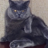 Суммы по выкупу Гутенберг. СТОП 14 июня