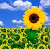 Заметки на полях!