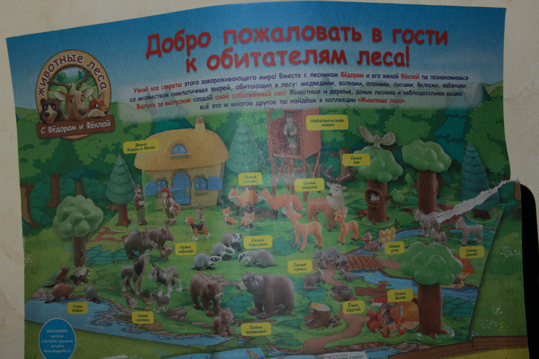 Животные леса