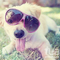 ИМЕНИННИЦЫ ღ ღ ღ 7 мая ღ ღ ღ !!!