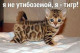 Ната