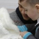 Лилия