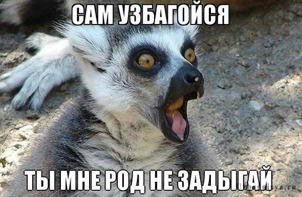 Флудддд