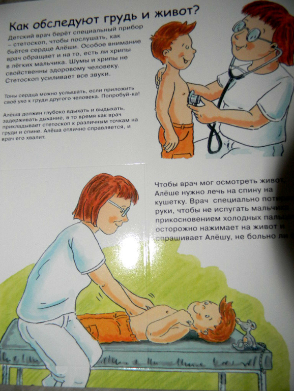 анатомия