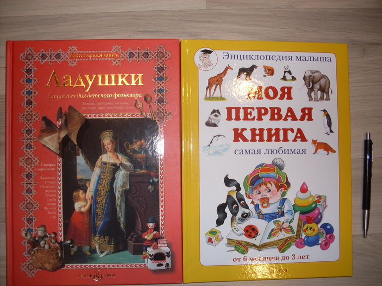 Моя первая книга как я стал сталкером