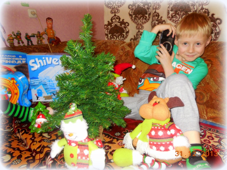 31.12.2013г