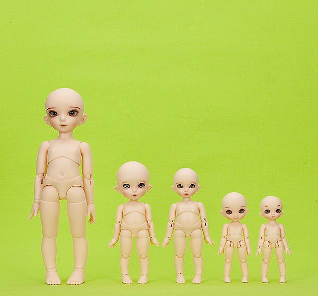 Куклы  BJD