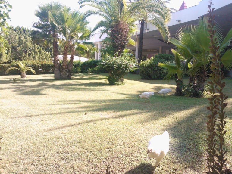 pgs kiris resort 5*