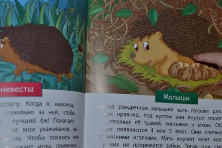 ТН