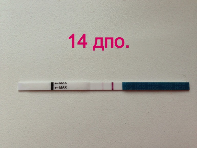 Тест и хгч ))