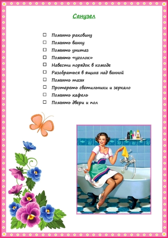 Cистема Fly