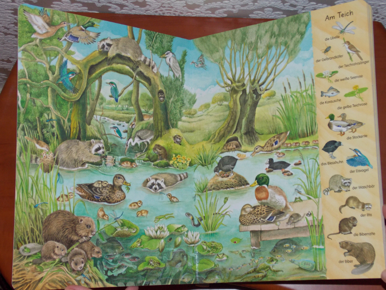 Развороты Mein erstes Wimmelbuch - Bach und Teich by Christine Henkel