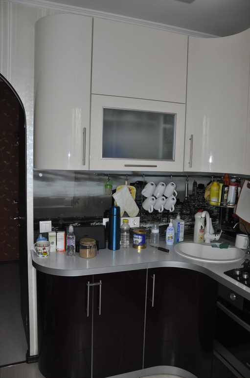 Кухня 6м2 дизайн с холодильником и посудомоечной машиной и телевизором
