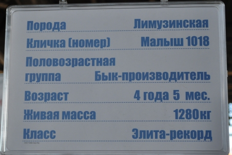 e12cd03e8591e40db62b632e505866eb.jpg