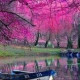 Илона Исаева