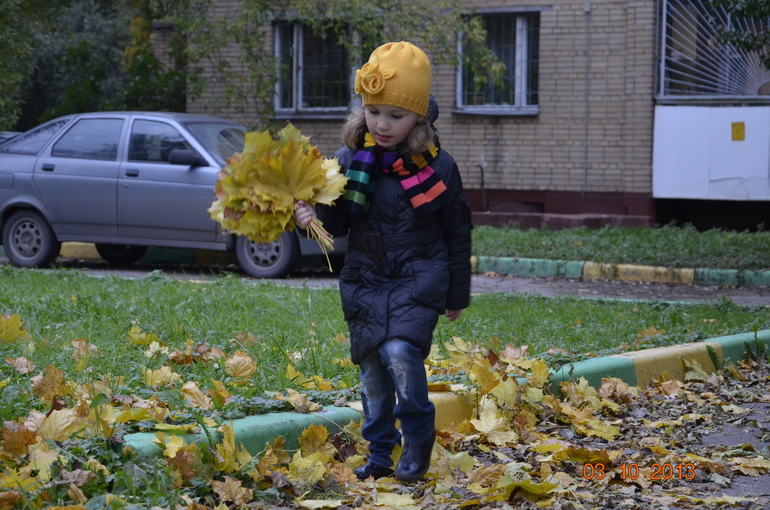 Краски октября