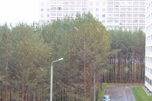 ТЗ