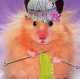 Mama_homa