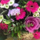 Evgenia_87