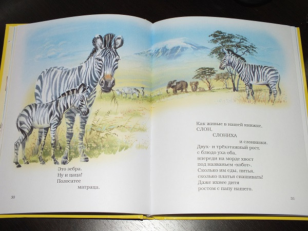 Книжные пополнения ноября