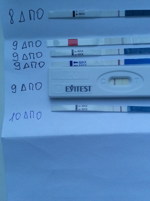 10ДПО... БТ 37.2 сегодня и впервые за долгое время....ну и тест вроде ярче стал...я до сих пор не верю ..