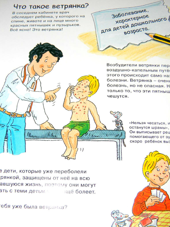 Анатомия для детей, обзор покупок. — 17 ответов | форум Babyblog