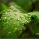 Юленька