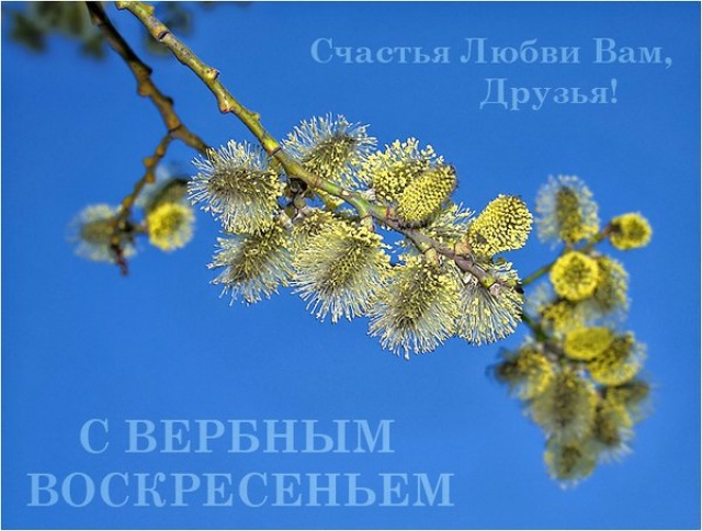 Взлет №72. Дни 29 и 30