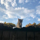 Ооо Ооо