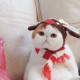 Катерина