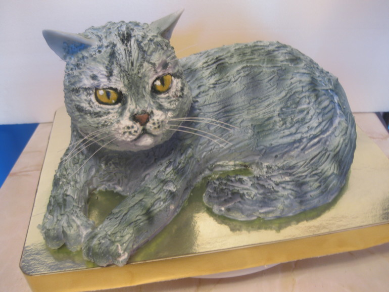 Кот