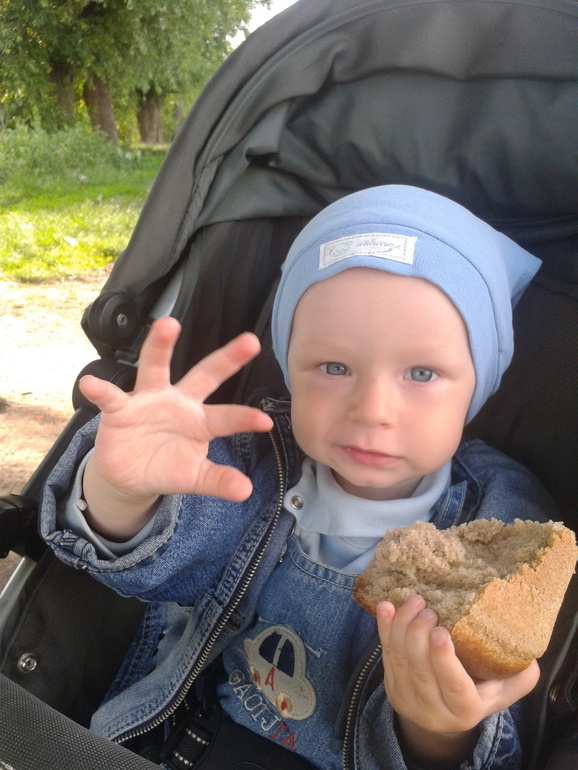 Приобщение к природе)