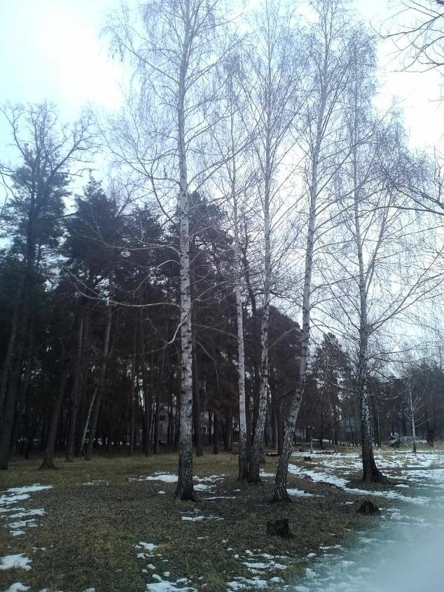 День 26
