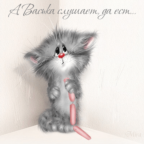милые котейки)))