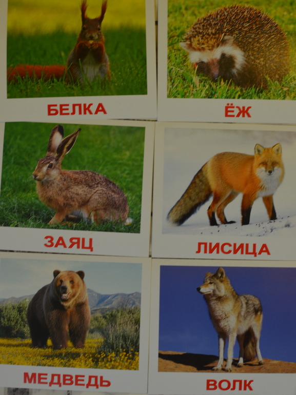 ТН