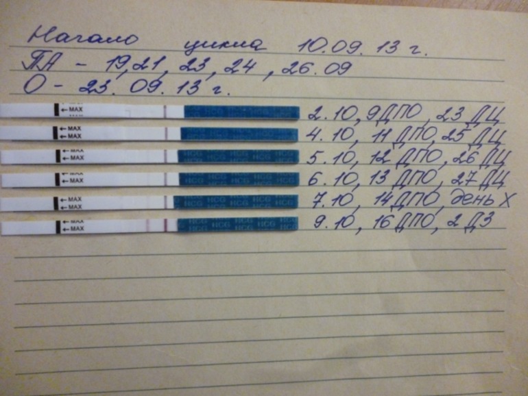 МОИ ХОРОШИЕ ВЫШЛО!!!!!!!!!