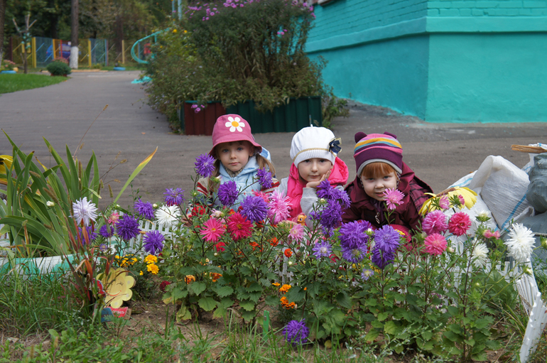 http://mamyprofi.ru/ekologicheskoe-vospitanie-doshkolnikov 