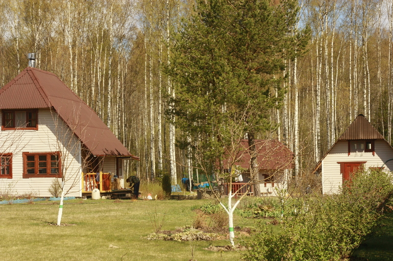 Дачное.Майское.