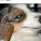 Яна