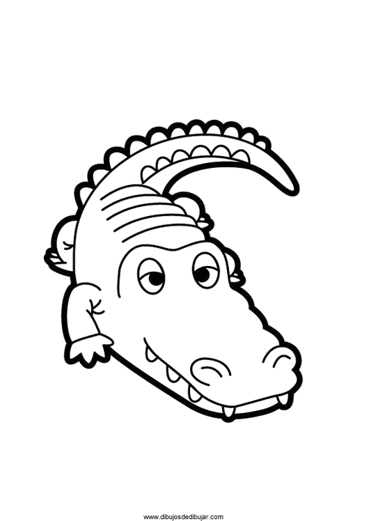 f43de82317bc41818fe53969693bf888.png