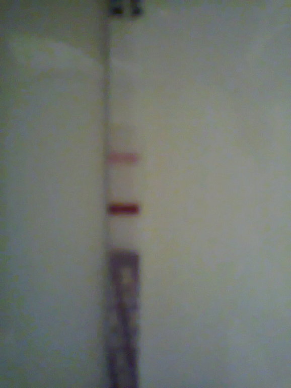 6160fa55c3c6b8bd982e012b0f2fce9a.jpg