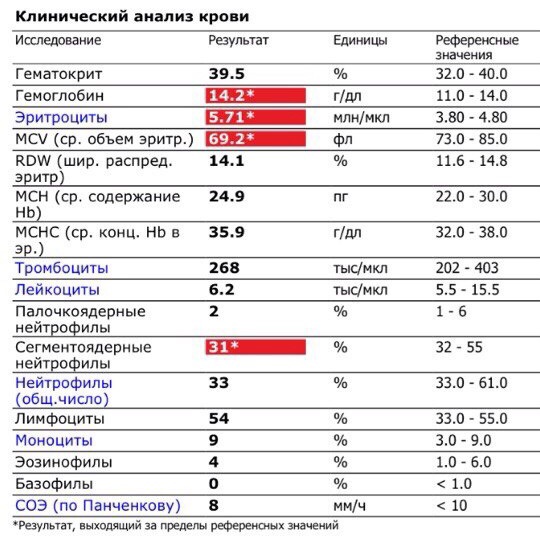 Клинический анализ крови инвитро фото