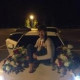 Светлана Силенкова