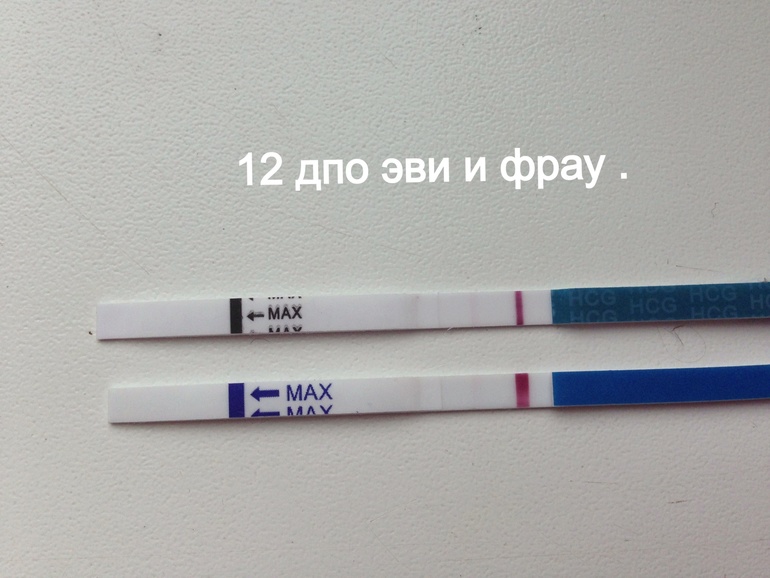 Вот , и я наконец- то решила написать . Я это сделала!