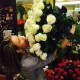 Елена Владимировна