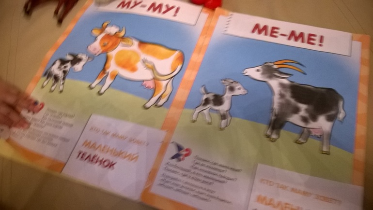 Тематическая неделя Домашние животные день 1